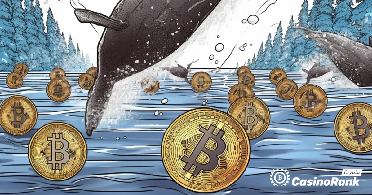 Kretanje kitova na tržištu kriptovaluta: Prebačeni MATIC i SOL tokeni