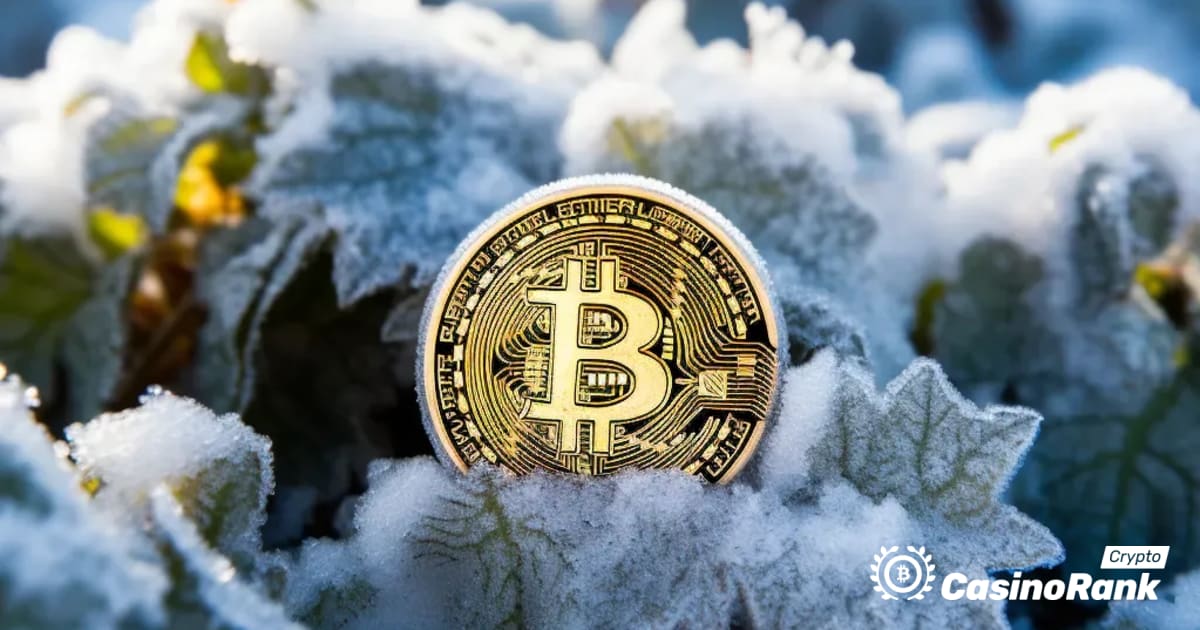 Izuzetan preokret FTX-a i oÅ¾ivljavanje Bitcoina: ohrabrujuÄ‡i znakovi za kripto industriju